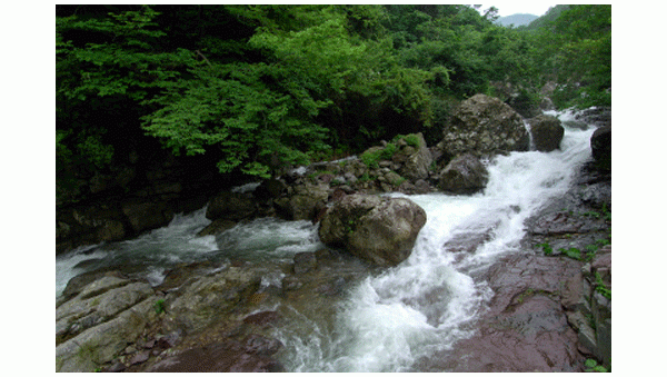 07.gif