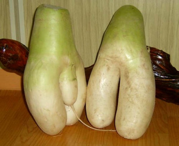 07.jpg