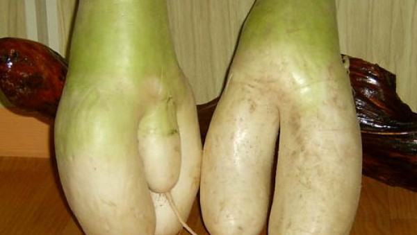 07.jpg