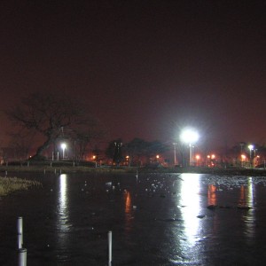 19.jpg