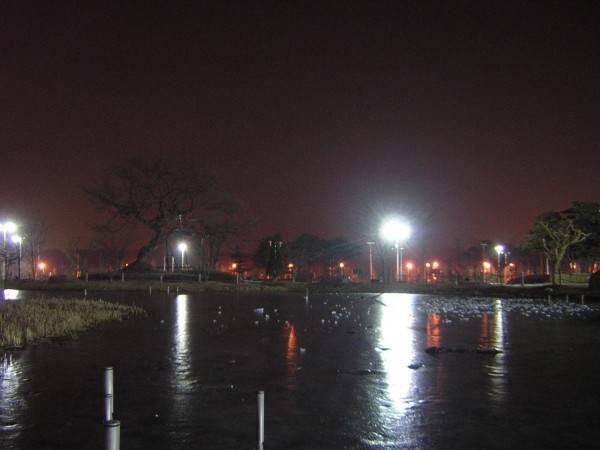 19.jpg