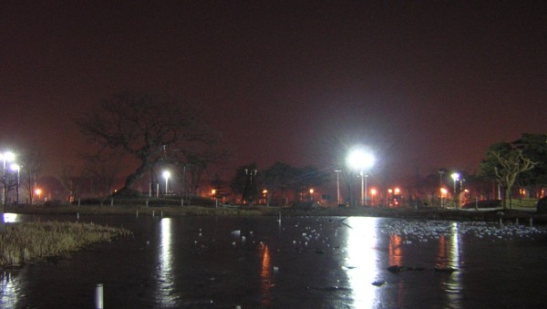 19.jpg