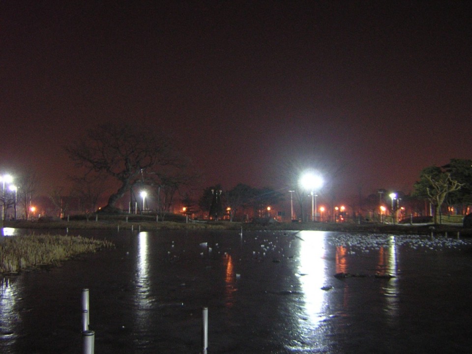 19.jpg