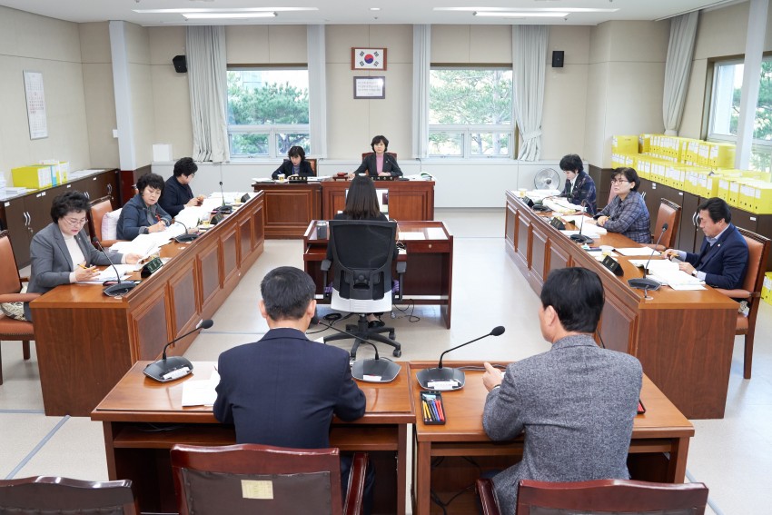 20191204 제238회 제2차 정례회 행감 8일차(2)-문화복지위원회.jpg