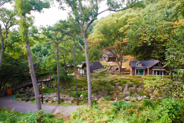 주석 2020-01-14 223153.png