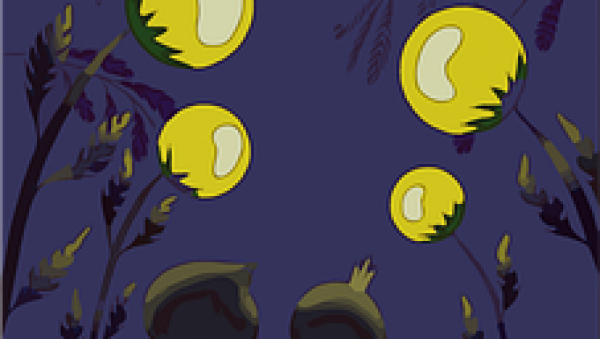 KakaoTalk_20200224_100721825.png