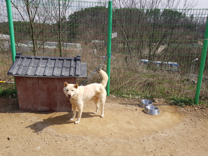 주석 2020-04-02 220058.png