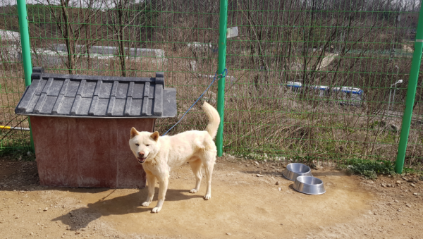 주석 2020-04-02 220058.png