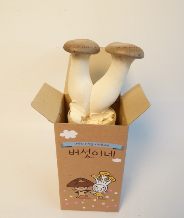 주석 2020-04-29 111343.png