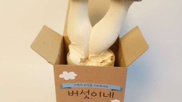 주석 2020-04-29 111343.png