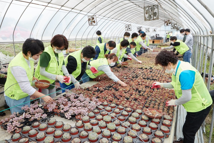 20200629 농촌 봉사 및 풍년 도슭 행사-02.jpg