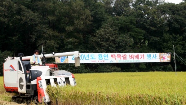 화면 캡처 2020-09-17 083937.jpg