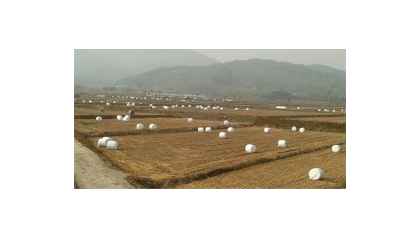 곤포사일리지.jpg