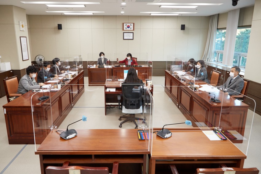 20201204 경제환경위원회 행감 9일차-강평 실시.jpg