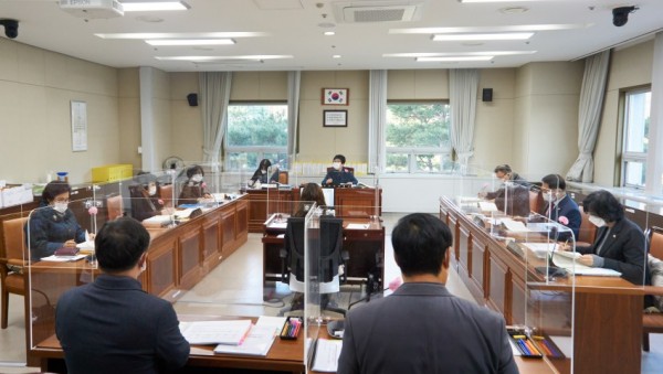 20201130 제249회 제2차 정례회-행감 5일차(2)-문화복지위원회.jpg