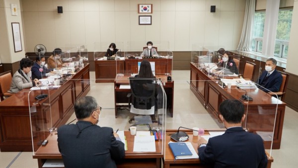 20201202 제249회 제2차 정례회-행감 7일차(5)-경제환경위원회.jpg