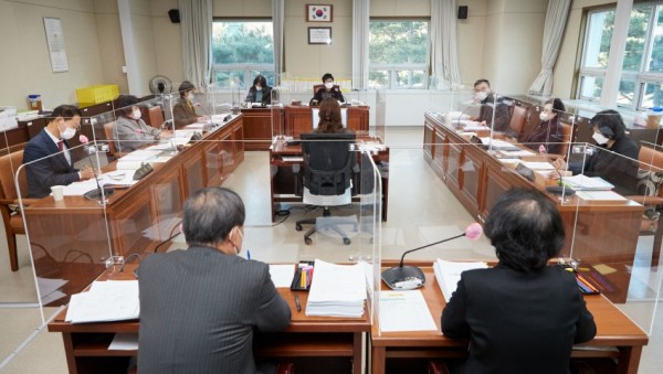 20201204 문화복지위원회 행감 9일차-강평 실시.jpg