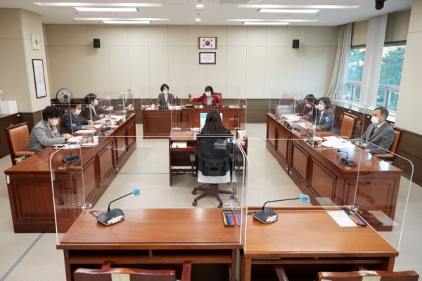20201204 경제환경위원회 행감 9일차-강평 실시.jpg