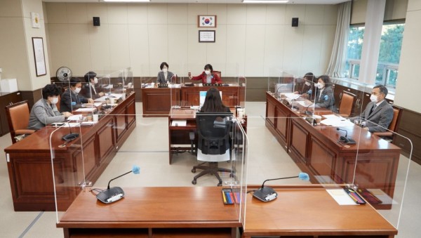 20201204 경제환경위원회 행감 9일차-강평 실시.jpg