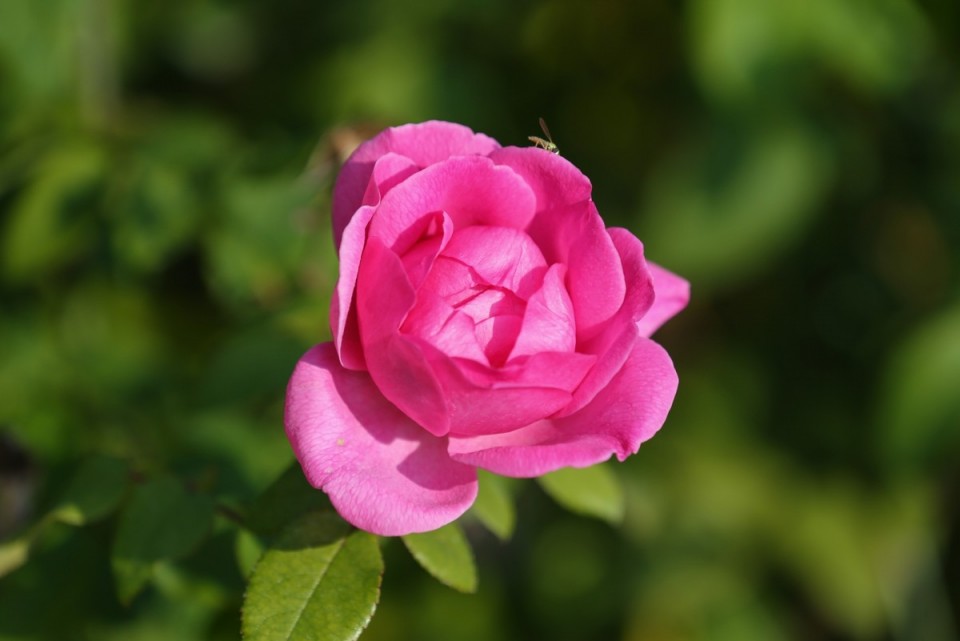 f68ff493b98586915fa9e4afe49592ff_1667884001_9737.JPG