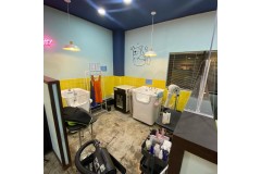 애견 미용 셀프목욕 퐁퐁파피