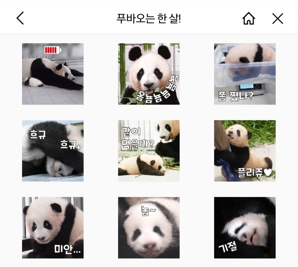 5c7186dffbe913a69334b84671afa2f2_1687927769_8084.jpg