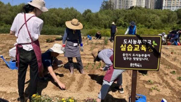 1. 지난해 도시농부학교 텃밭교육에 참가한 시민들 모습.jpg