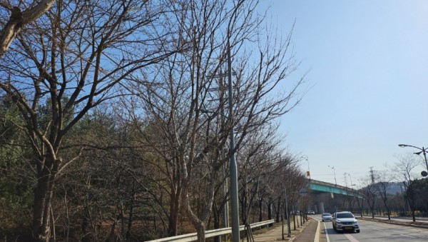 9. 처인구가 내달까지 노후 가로등주를 교체한다. 사진은 가로등이 LED 조명으로 교체된 모습..jpg