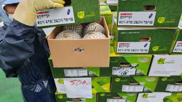 4. 용인특례시가 유치원에 다니는 어린이에게 제철 과일을 간식으로 제공한다. 관계자가 제공할 과일을 옮기고 있다..jpg