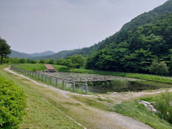 1. 용인특례시가 길업습지에 반딧불이 서식처 복원을 위한 식생환경 조사를 벌인다.jpeg