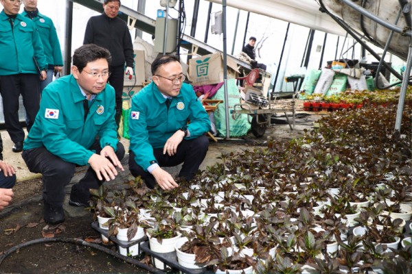 10-3. 이상일 용인특례시장과 이한경 행정안전부 차관과 폭설 피해를 입은 처인구 남사읍 진목리 화훼농가 현장을 점검하고 있다. (1).jpg