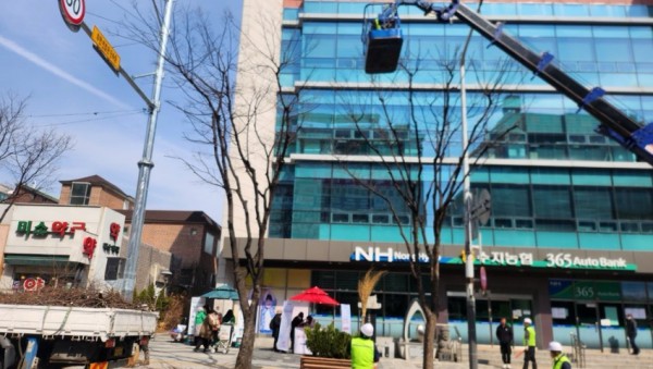 6. 수지구 관계자들이 가로수를 정비하고 있다.jpg