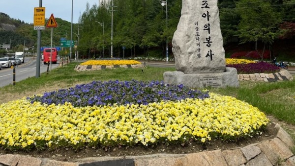 6-1. 기흥구 교통섬 꽃 식재 모습.jpg