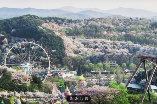 250529 1-1. 에버랜드 전경 .JPG