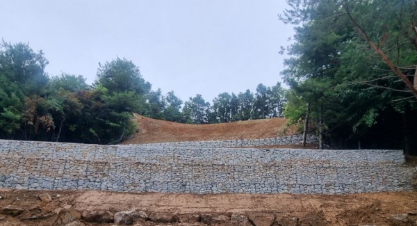 1. 용인특례시, 