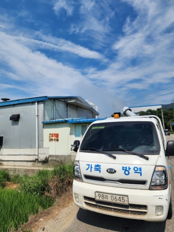 7. 용인특례시는 축사 내부 온도를 낮추기 위해 방역차량을 동원해 긴급 살수 작업을 진행했다.jpg