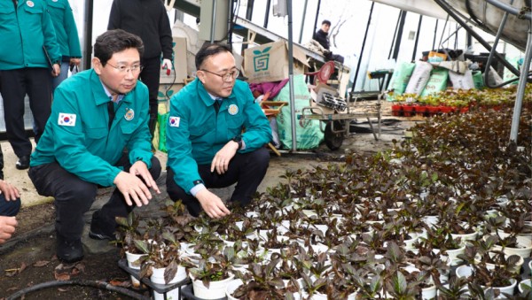 10-3. 이상일 용인특례시장과 이한경 행정안전부 차관과 폭설 피해를 입은 처인구 남사읍 진목리 화훼농가 현장을 점검하고 있다. (1).jpg