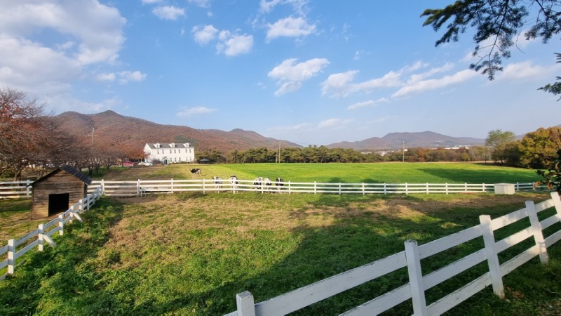 5. 전국 최우수 친환경 농장으로 선정된 '농도원목장'.jpg