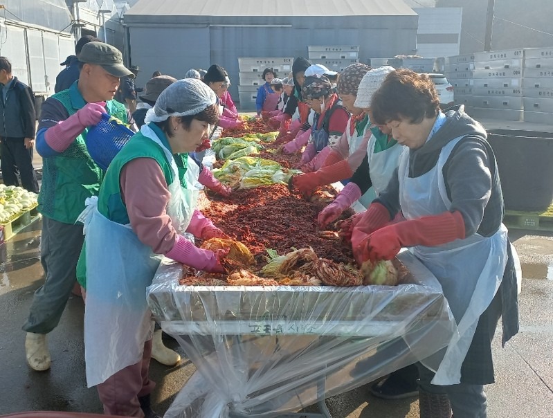 7-14. 처인구 포곡읍 단체협의회는 5일부터 7일까지 지역사회 소외계층의 따뜻한 겨울나기를 위한 ‘사랑의 김장 나눔 행사’를 펼쳤다..jpg