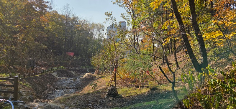 1-1. 용인특례시가 수지구 죽전동에 조성한 '도시 숲' 모습.jpg